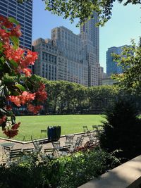 View of park with buildings in background