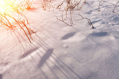 Close-up of frozen shadow on snow