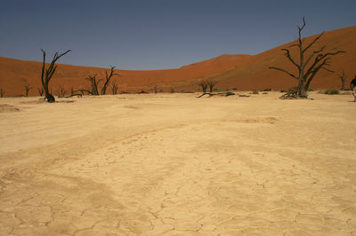 Scenic view of desert against clear sky