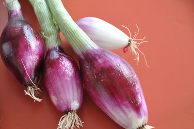 Close-up of purple chili peppers