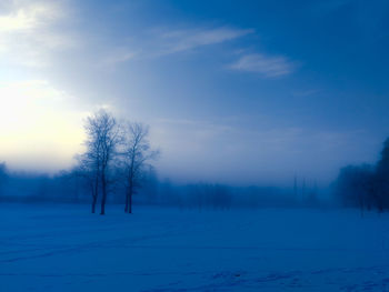 Bare trees on snow field against blue sky