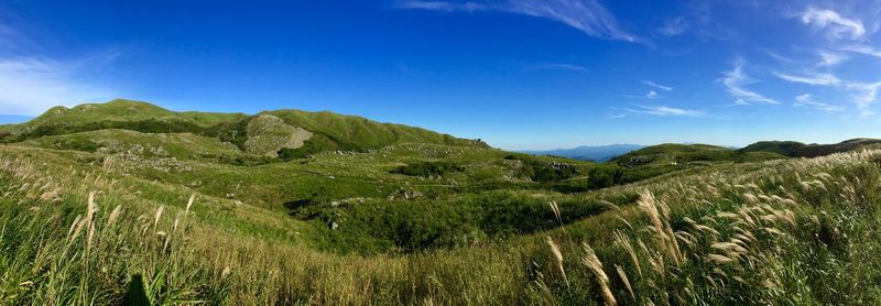 Panoramic view of landscape