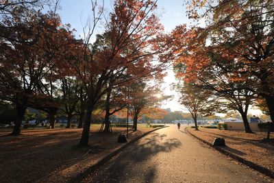 Road amidst trees against sky during autumn