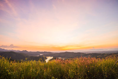 Scenic view of field against sky during sunset