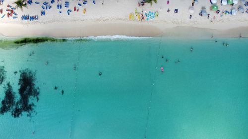Drone view caribian coast line beach scene