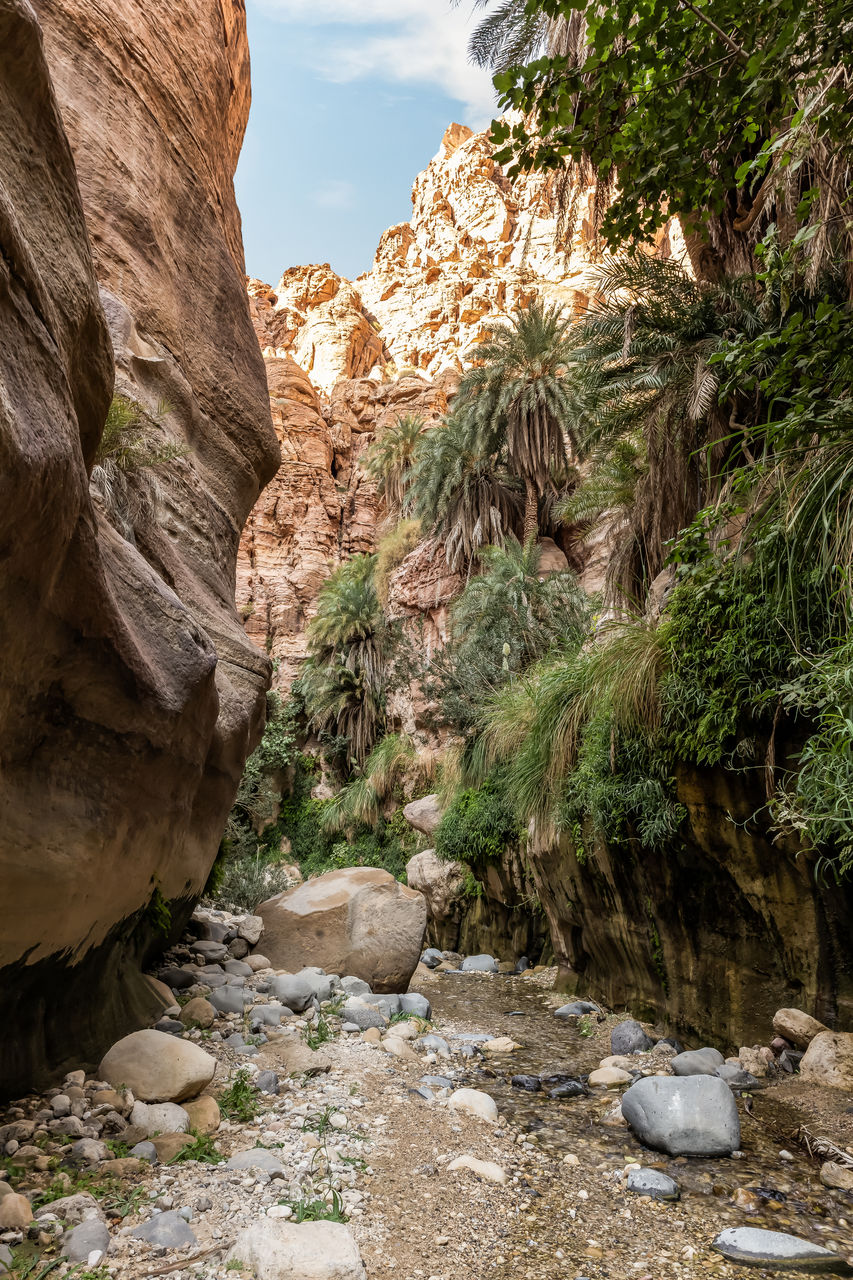 rock, nature, rock formation, wadi, scenics - nature, beauty in nature, plant, valley, canyon, environment, tree, landscape, travel destinations, land, non-urban scene, travel, sky, no people, tranquility, mountain, cloud, outdoors, cliff, water, wilderness, tranquil scene, geology, day, tourism, desert, eroded, extreme terrain, physical geography, idyllic, river, coniferous tree, pinaceae, terrain, pine tree
