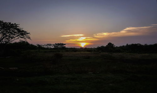 Scenic view of field against sky during sunset