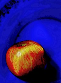 Close-up of fruit against blue background