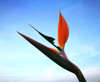 Low angle view of plant against clear sky