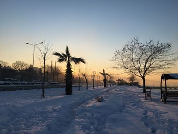 Bare trees on snow covered field against sky during sunset