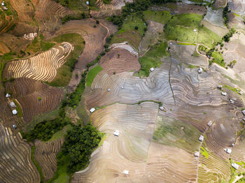 High angle view of agricultural field