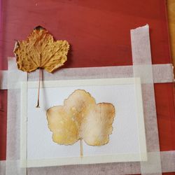 High angle view of dry leaf on table against wall