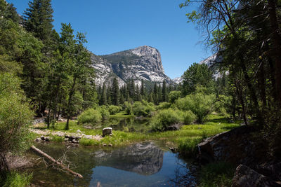 Scenic view of lake by trees against sky