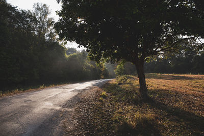 Empty road amidst trees against sky