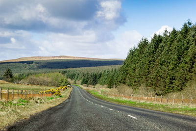 Road amidst agricultural field against sky