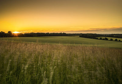 Scenic view of field against sky during sunset