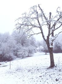 Snow covered landscape