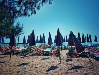 Panoramic view of chairs on beach against clear blue sky