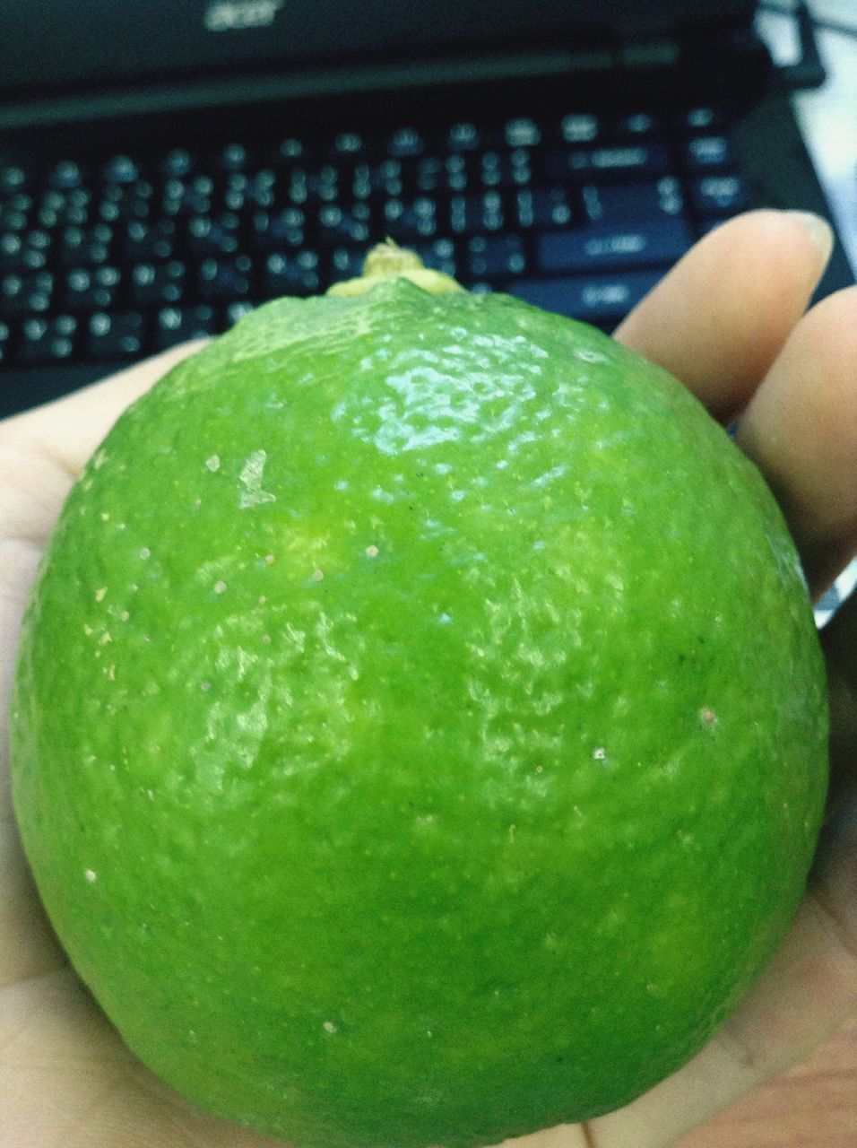 food and drink, food, indoors, freshness, healthy eating, fruit, close-up, still life, green color, slice, table, lemon, organic, high angle view, ready-to-eat, lime, part of, focus on foreground, indulgence, cropped