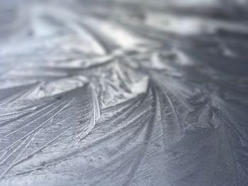 Full frame shot of leaf