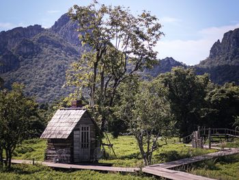Trees and houses by mountains against sky