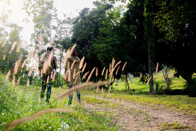 People in grass