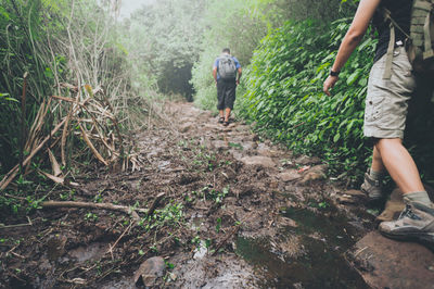 People walking on dirt road amidst trees in forest