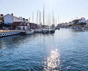 Sailboats moored in harbor