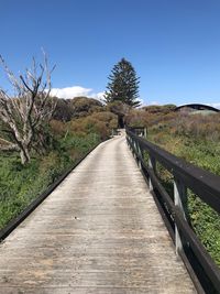 Narrow footbridge along trees on landscape against blue sky