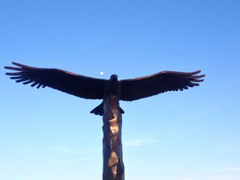 Low angle view of birds flying against blue sky