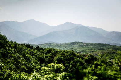 Scenic view of mountains