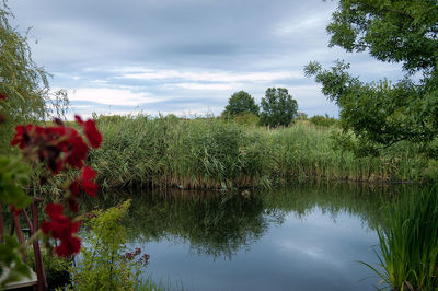 Scenic view of lake against sky