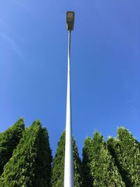 Low angle view of trees against blue sky