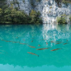 Swimming pool in water