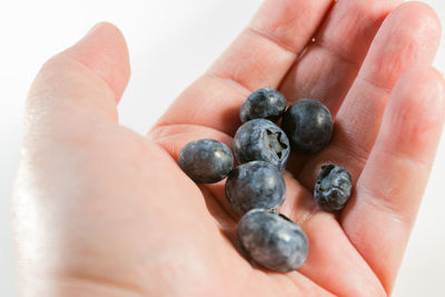 Cropped image of hand holding blueberries against white background