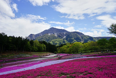 Scenic view of grassy field by mountains against sky