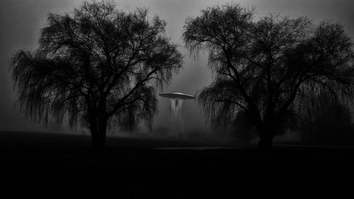 Silhouette trees on field against sky