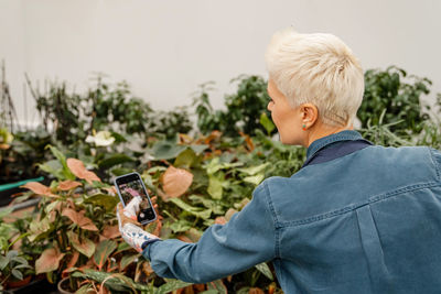 Woman with smartphone photographing pot flowers. home plant breeding