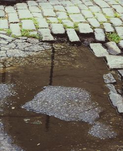 Reflection of puddle in water