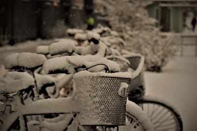 Close-up of bicycle in basket