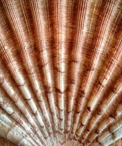 Full frame shot of wood