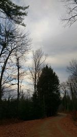 Bare trees on landscape against sky