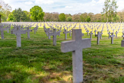 A lot of small, concrete crosses at the german war cemetery in the netherlands.