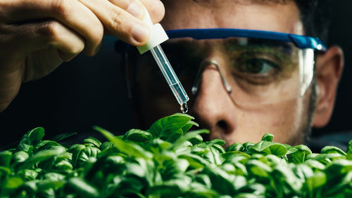 Biologist is dropping liquid chemical on plants