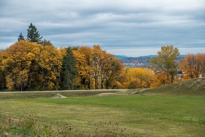 Trees on field against cloudy sky