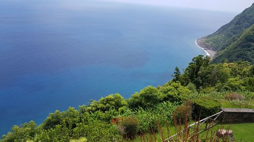 High angle view of trees by sea against sky