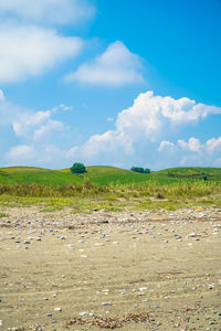 Scenic view of field against sky