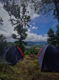 Tent in forest