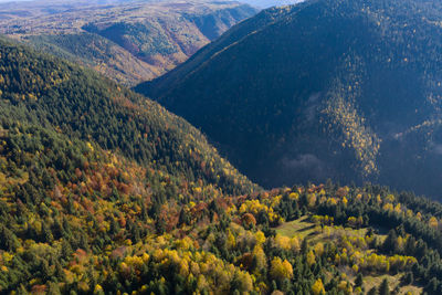 Scenic view of trees and mountains