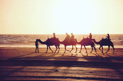 Side view of people riding camel at beach against sky